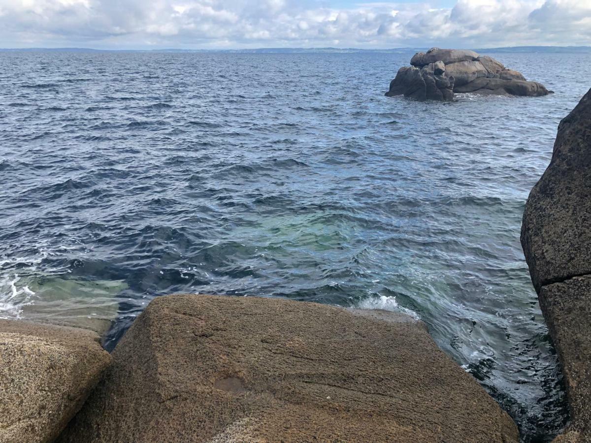Les Fous De Bassans Bed & Breakfast Poullan-sur-Mer Dış mekan fotoğraf